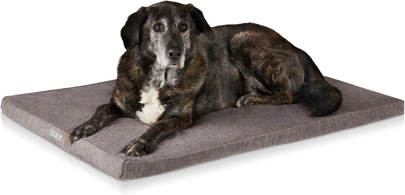 ONVAYA® Hundekissen aus Memory Foam | orthopädisch | 95 Grad waschbar | grau | Hundebett Grösse S |