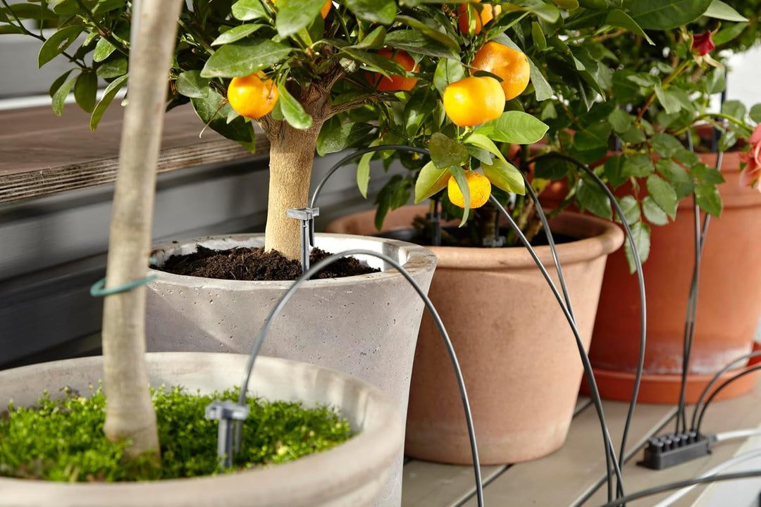 Gardena city gardening Urlaubsbewässerung: Pflanzenbewässerungs-Set für drinnen und draussen, indivi