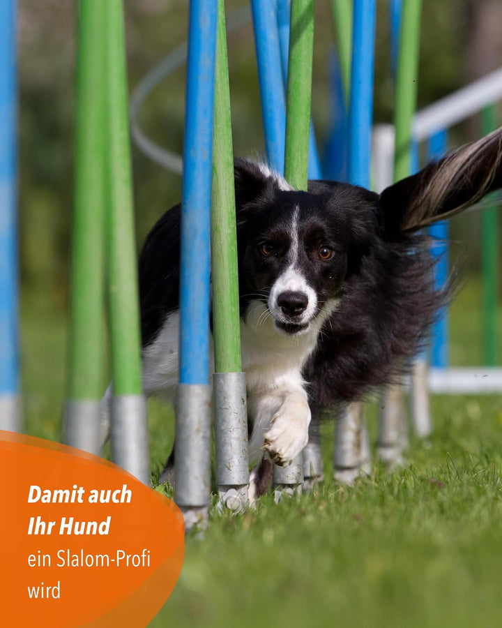 Trainingsbögen für Agility-Training – 10er-Set – für Stangen mit ø 32 mm – Slalomtraining