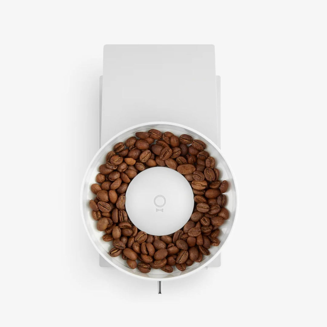 Fellow Opus Kegelmahlwerk-Kaffeemühle – Elektrische Allzweck-Kaffeemühle – Espressomühle mit 41 Eins