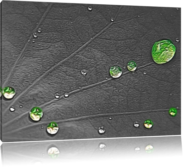 winzige Wassertropfen auf grünem Blatt schwarz/weiss Deluxe Format: 100x70 cm auf Leinwand, XXL ries