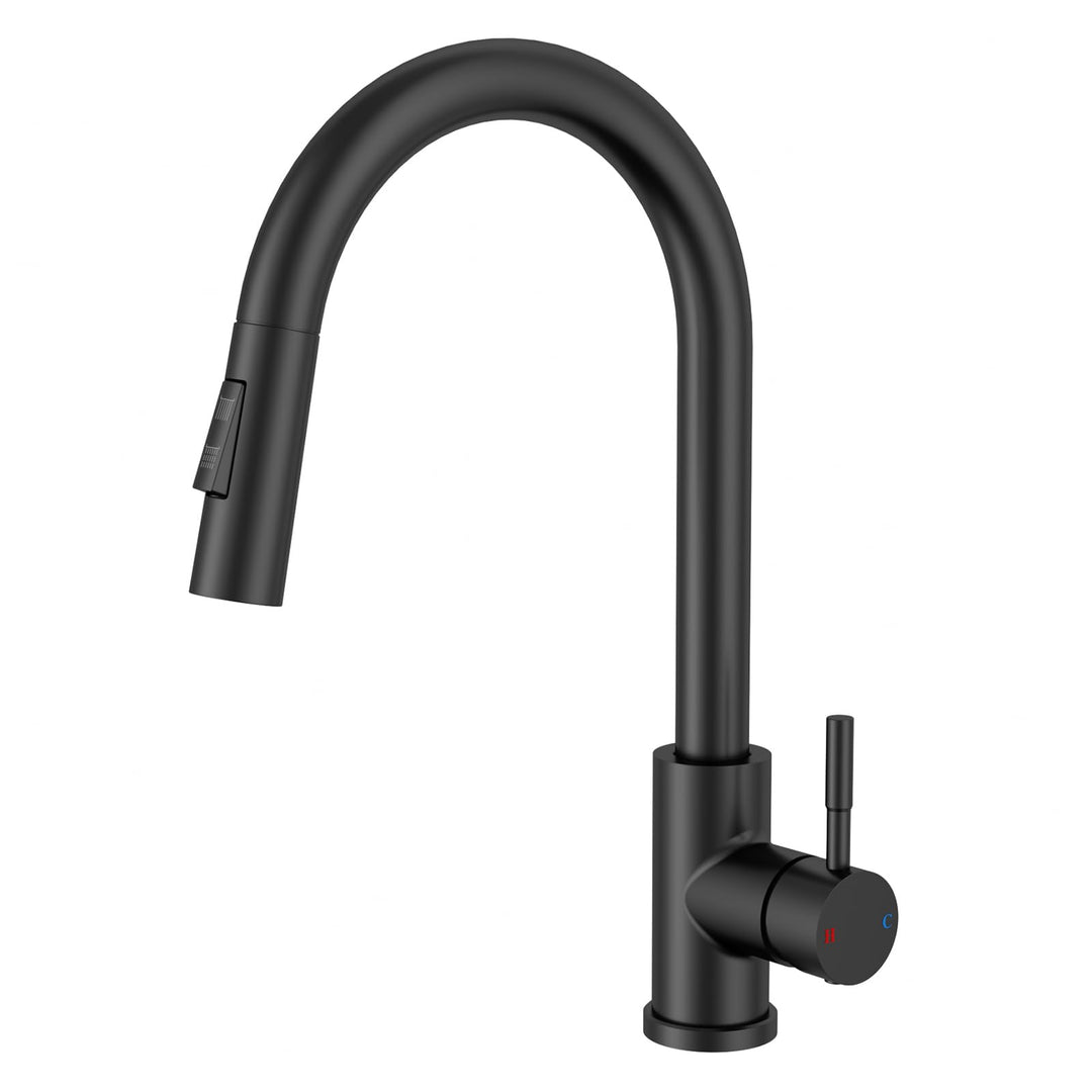 Rainsworth Schwarz Wasserhahn Küche mit Brause Ausziehbar - Hochdruck Küchenarmatur mit Zwei Wassers