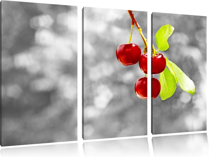 Pixxprint glänzende Kirschen am Zweig als Leinwandbild/Grösse: 3 Teilig (120x80) cm/Wandbild/Kunstdr