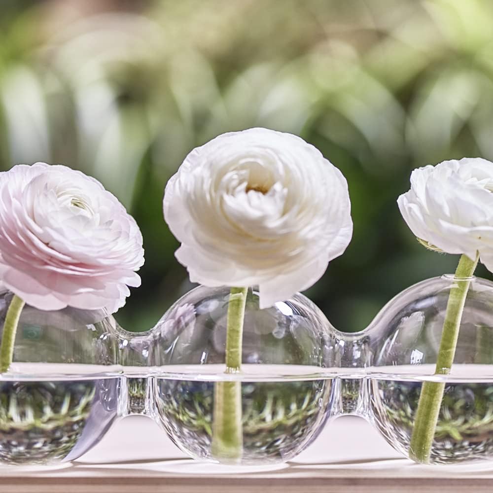 Chive Glas Hudson 5 Caterpillar Big Vase, transparent 1 Large (33cm), 1 Large (33cm)