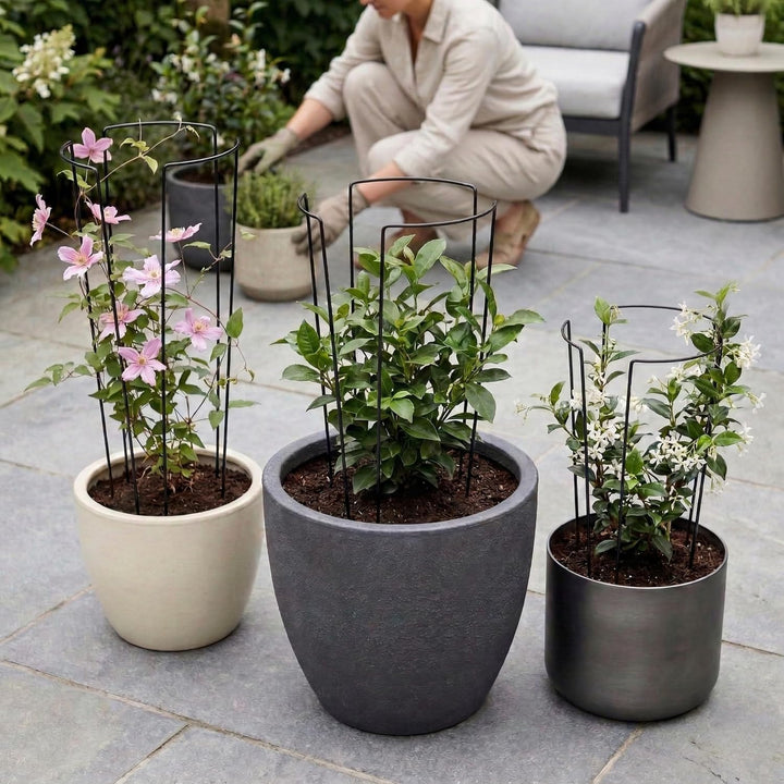 Pflanzenstütze Metall 3er Set – Halbrunde Staudenhalter für Pfingstrosen Hortensien Rosen und Staude
