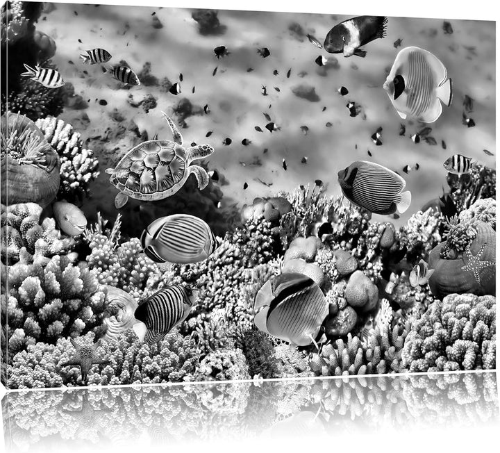 Pixxprint Fische über Korallenriff als Leinwandbild/Grösse: 100x70 cm/Wandbild/Kunstdruck/fertig bes