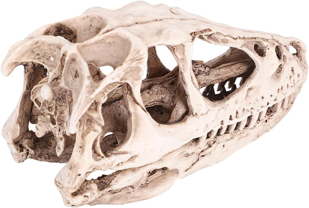 BRRNOO Dinosaurier-Knochen, Dinosaurier-Fossilien, Dinosaurier-Skelette, Modell, Simuliertes Tierske