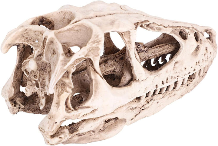 BRRNOO Dinosaurier-Knochen, Dinosaurier-Fossilien, Dinosaurier-Skelette, Modell, Simuliertes Tierske
