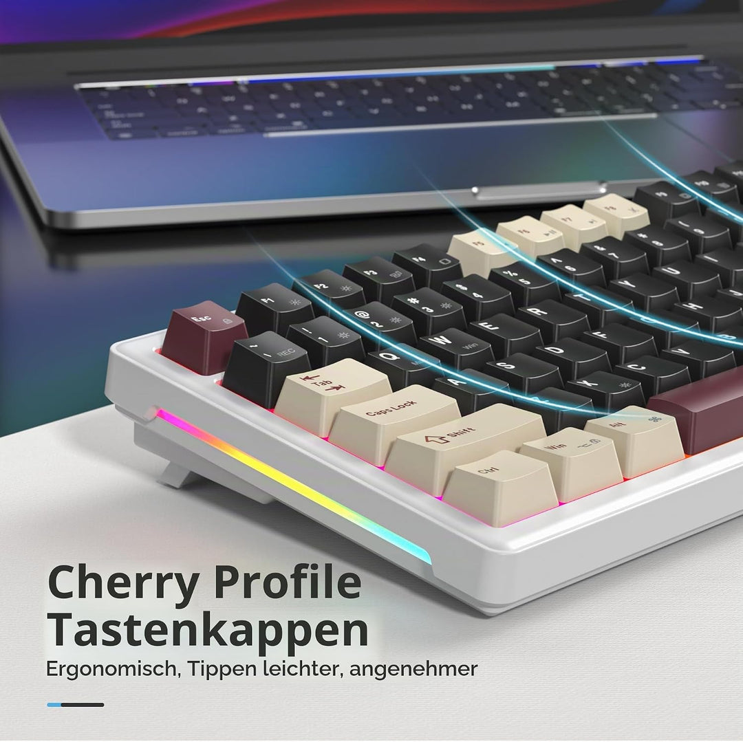 SOLIDEE Verkabelte Mechanische Gaming Tastatur 75 Prozent, Hot-Swap-Fähig Mit Gasket Struktur, RGB H