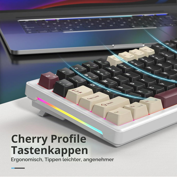 SOLIDEE Verkabelte Mechanische Gaming Tastatur 75 Prozent, Hot-Swap-Fähig Mit Gasket Struktur, RGB H