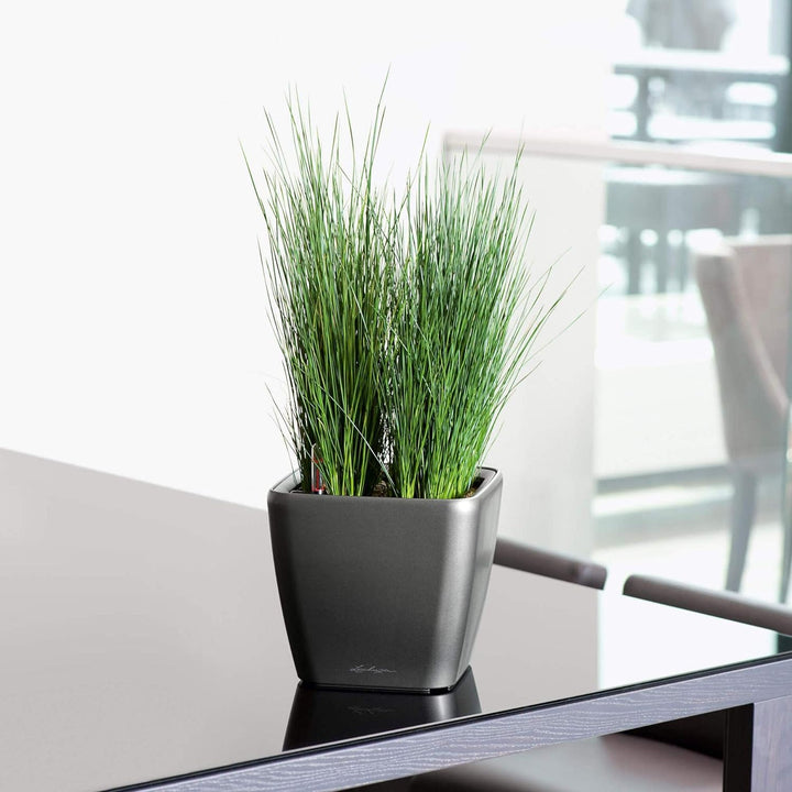 LECHUZA QUADRO Premium LS 21 scarlet rot hochglanz 16127 21x21x20 cm Scarlet Rot Hochglanz, 21x21x20