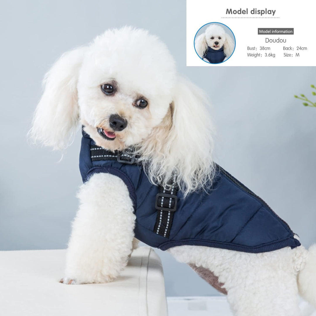 Hundejacke Winterweste Mit Geschirr, Wasserdichter Hundemantel für Kleine Hunde, Maschinenwaschbar,