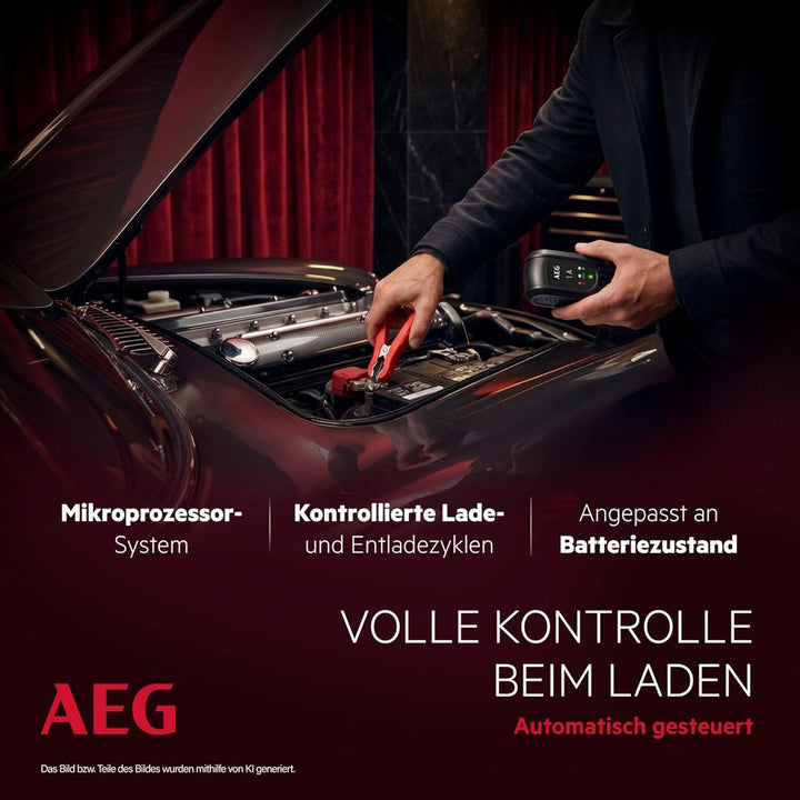 AEG Automotive 97175 Microprozessor Batteriepulser MB 1.0, 12 Volt Batterietrainer 4 stufig, Dauerer