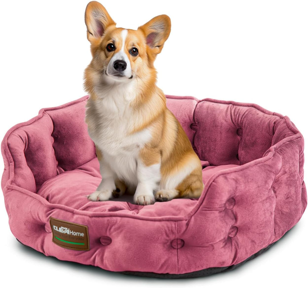 ClevaHome Rundes Katzenbett &amp; Hundebett für Kleine Haustiere bis 7kg – Waschbares Weiches Haustierbe