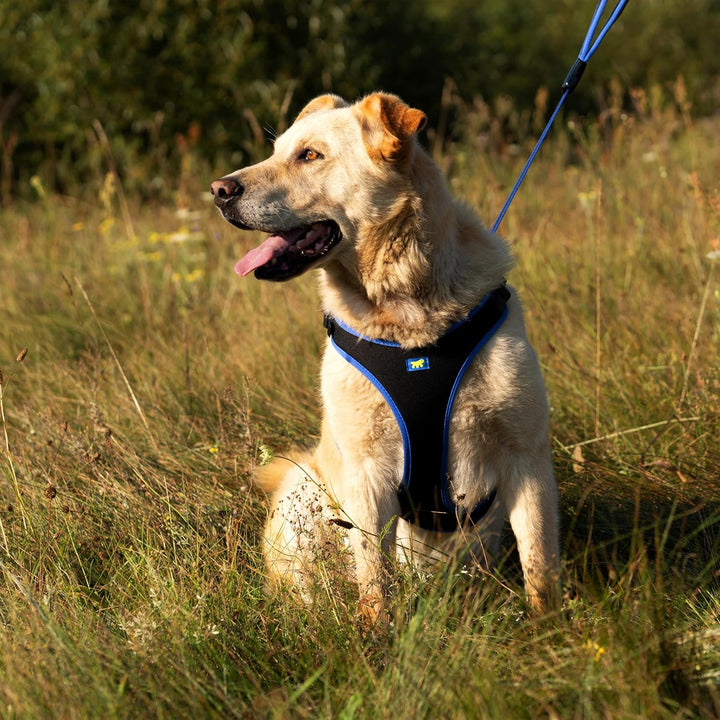 Ferplast Hundegeschirr grosse Hunde Geschirr Hunde mit Polsterung ERGOCOMFORT XL, Halsumfang: 60-70