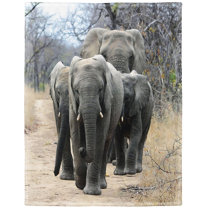 YISUMEI Bedruckte Kuscheldecke Waldstrasse Elefant Decke Weich Flanell Fleecedecke 150x200 cm 150 x