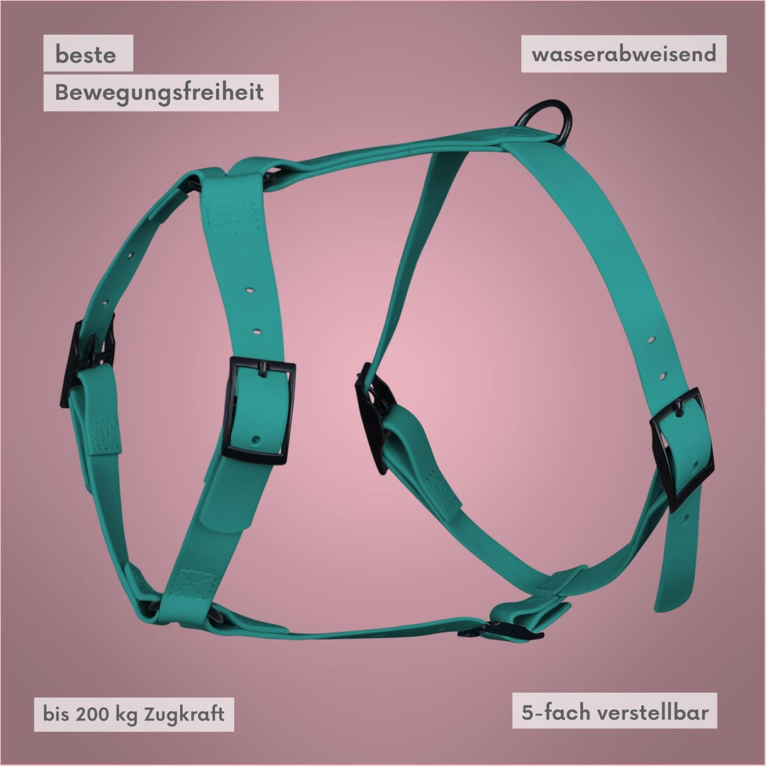 Arizona Hotdogs Hundegeschirr PVC | Stabil und Wasserfest | Teal Blaugrün XL XL Blaugrün, XL Blaugrü