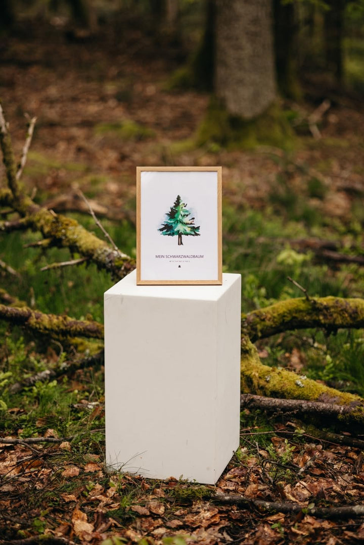 Baumspende & Aquarell 'Tanne modern' (Druck im Rahmen) | Nachhaltig | Geschenk Geburtstag, Hochzeit,