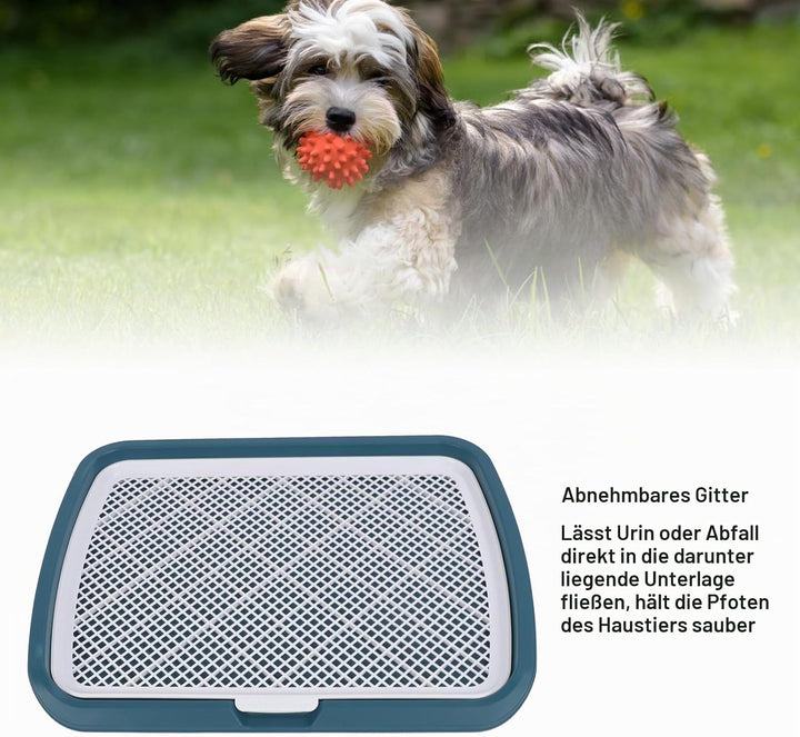 GLOGLOW Hundetoilette mit Gitter für Welpen, Abnehmbare Trainingsschale, 50 x 66 x 5 cm, Blau BLUE,