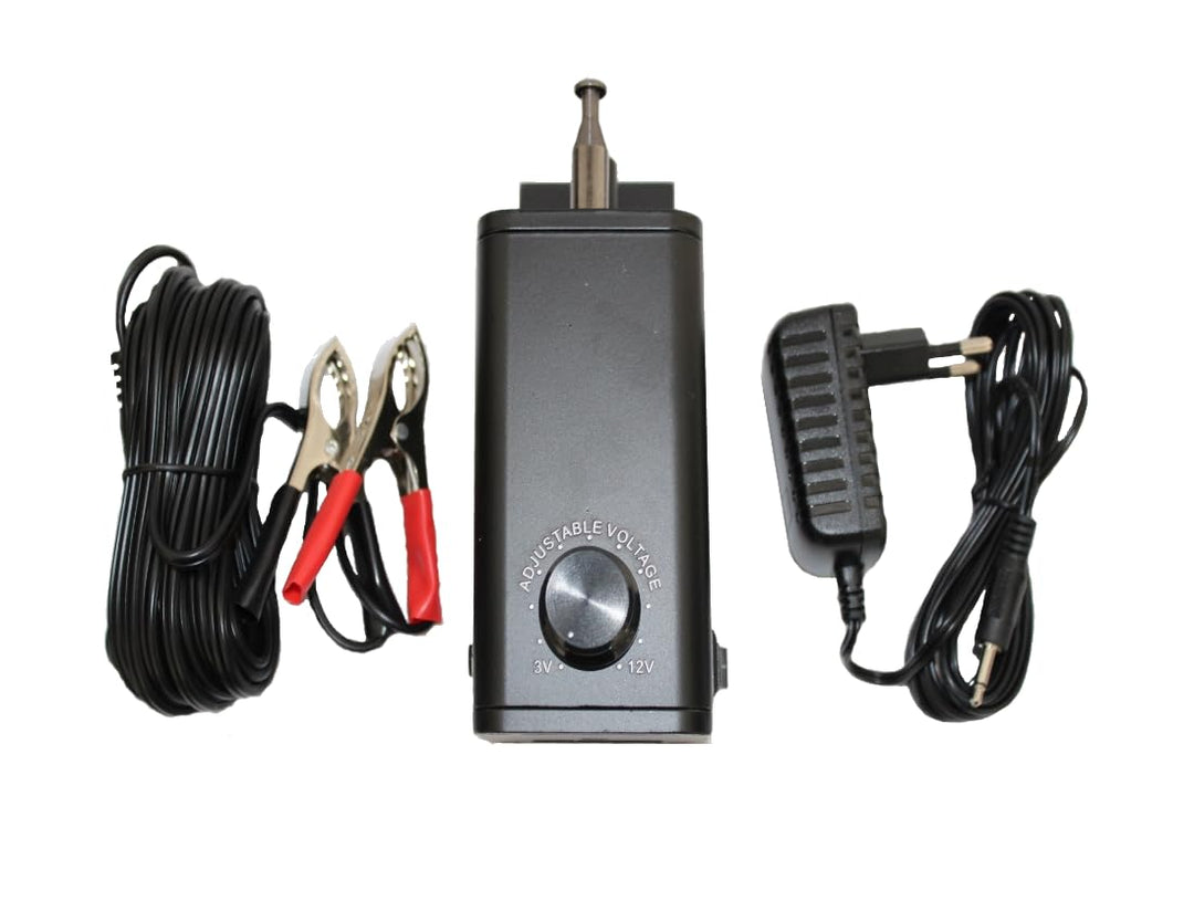 walexo Regelbarer Motor für Spiessdreher 3–12V 10W – Inklusive 230V EU-Adapter und 12V Anschlusskabe