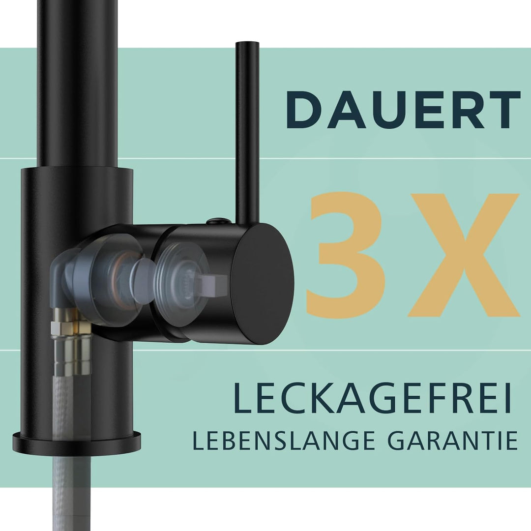 FORIOUS Wasserhahn Küche Schwarz,Edelstahl-Küchenarmatur Spülarmaturen Küche, Zweigriff-Mischbatteri