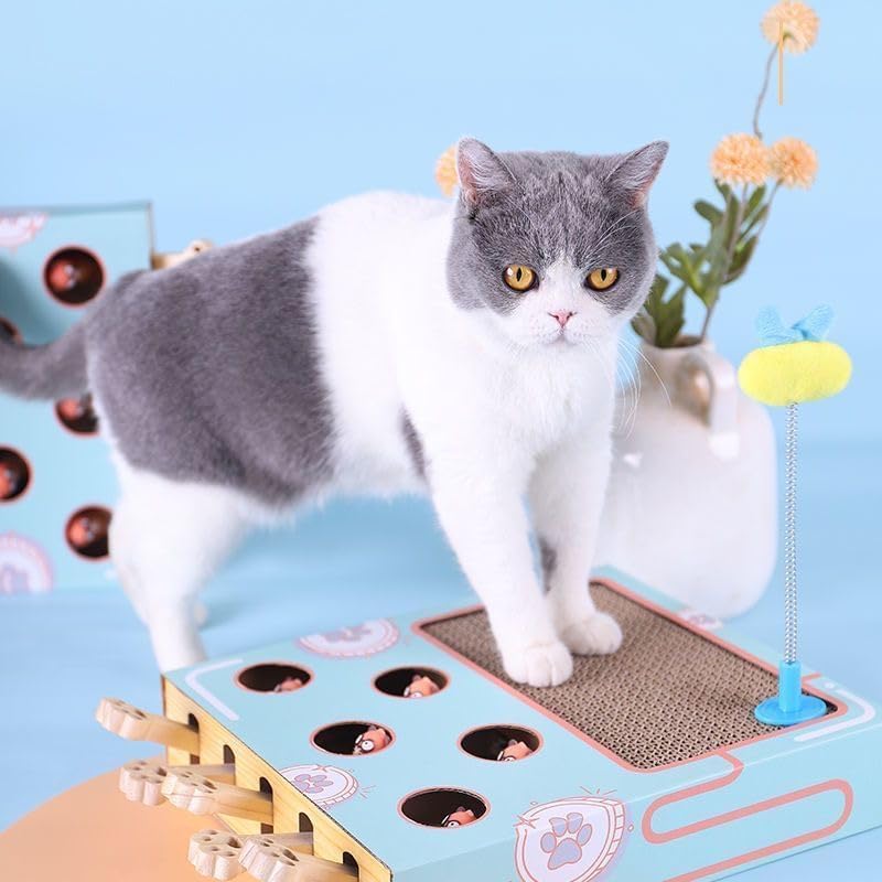 Interaktives Katzenspielzeug, Holz, Spielzeug, Maulwurf Maus, Puzzle Box mit süssen Cartoon Spielzeu