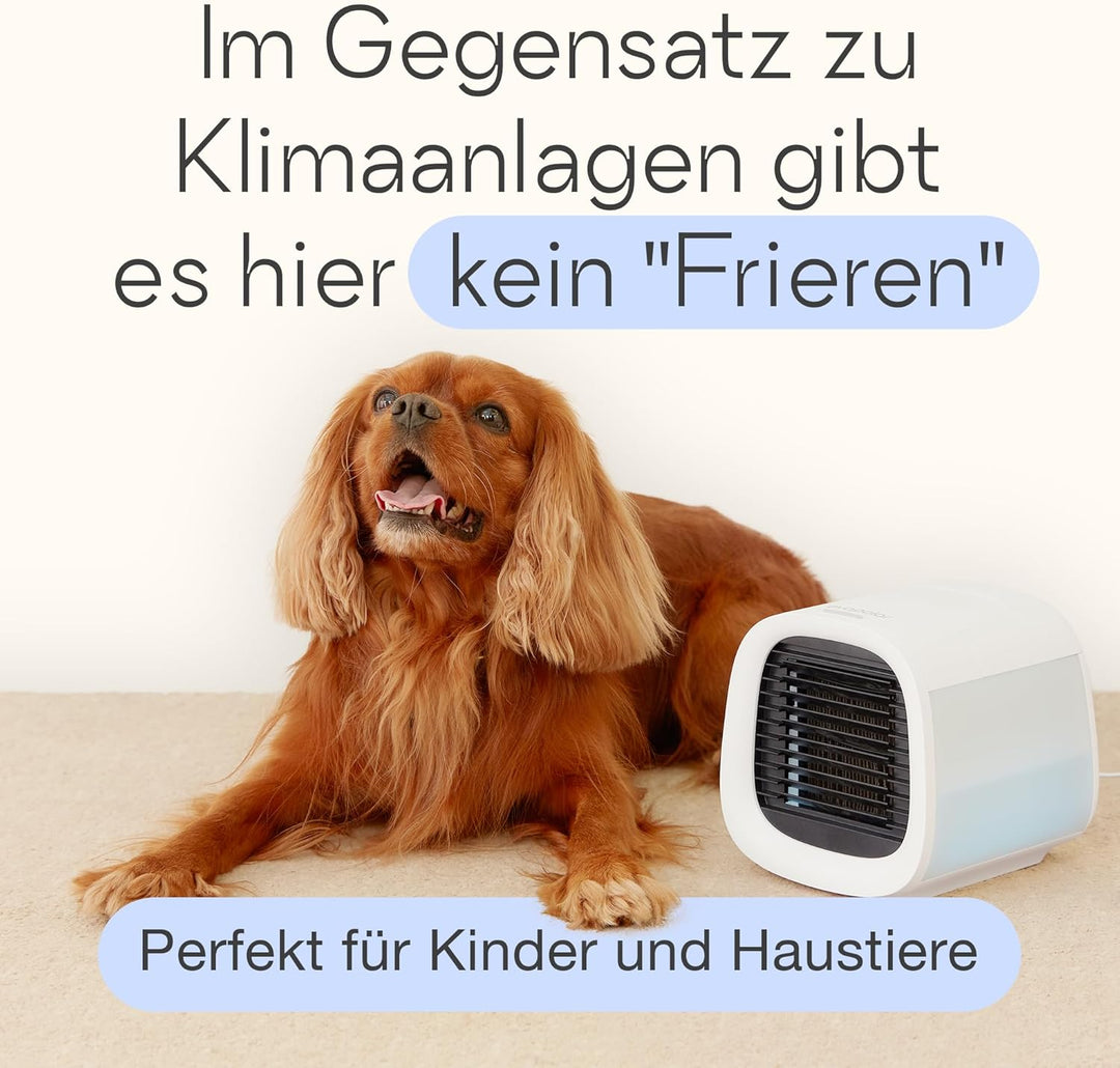 Evapolar evaCHILL Luftkühler & Luftbefeuchter - Leise & tragbar – Kühler für Heim, Büro, Camping, au