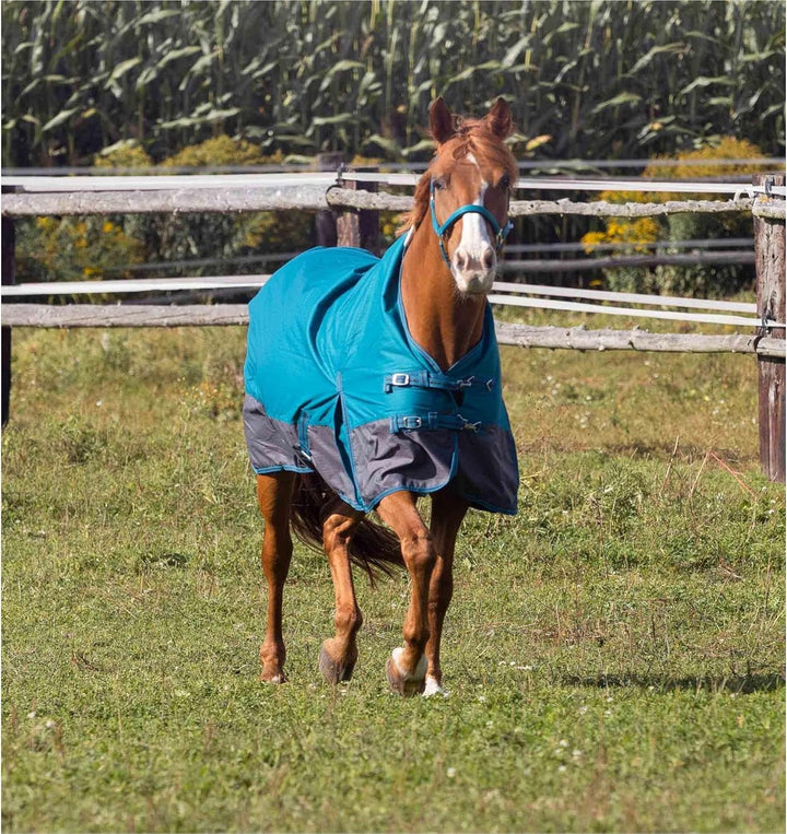 RL24 - Weidedecke High Neck Polarfleece 600D BASICLINE Petrol/Graphit 95cm Petrol/Graphit (Altes Mod