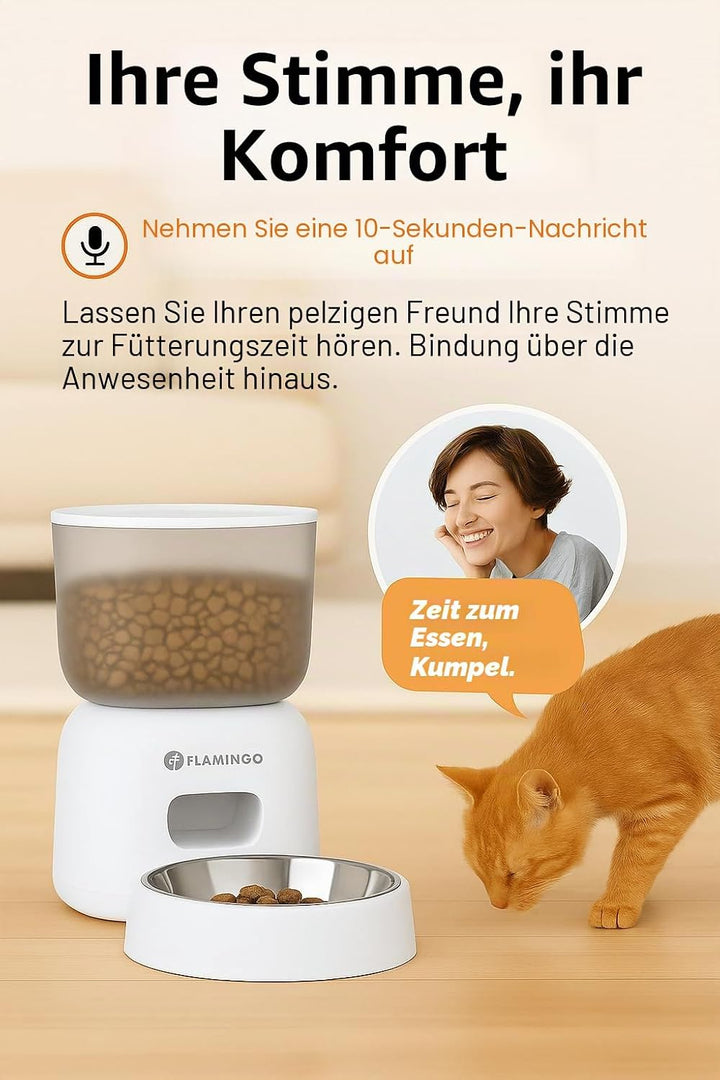 Futterautomat Katze - Futterautomat Hund - Futterautomat Katze Nassfutter - 3L Kapazität mit Timer u