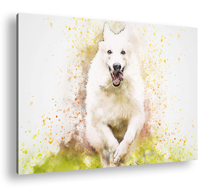 deyoli spielender Hund Format: 60x40 als Leinwandbild, Motiv fertig gerahmt auf Echtholzrahmen, Hoch
