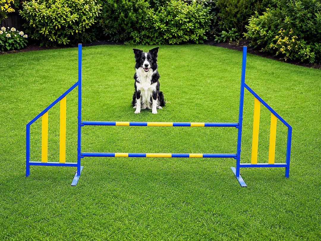 PROCYON Agility Hürde für Hunde Profi-Training-Set FCI konform Hürden Hundeport