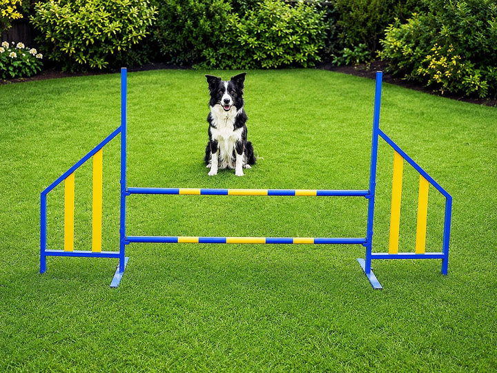 PROCYON Agility Hürde für Hunde Profi-Training-Set FCI konform Hürden Hundeport