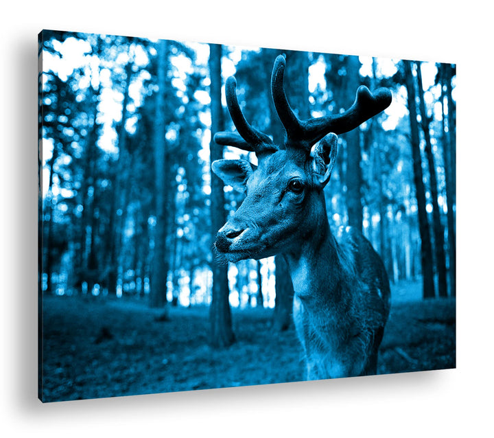 deyoli Traumhafter Hirsch Format: 80x60 Effekt: Monocrome Blau als Leinwandbild, Motiv fertig gerahm