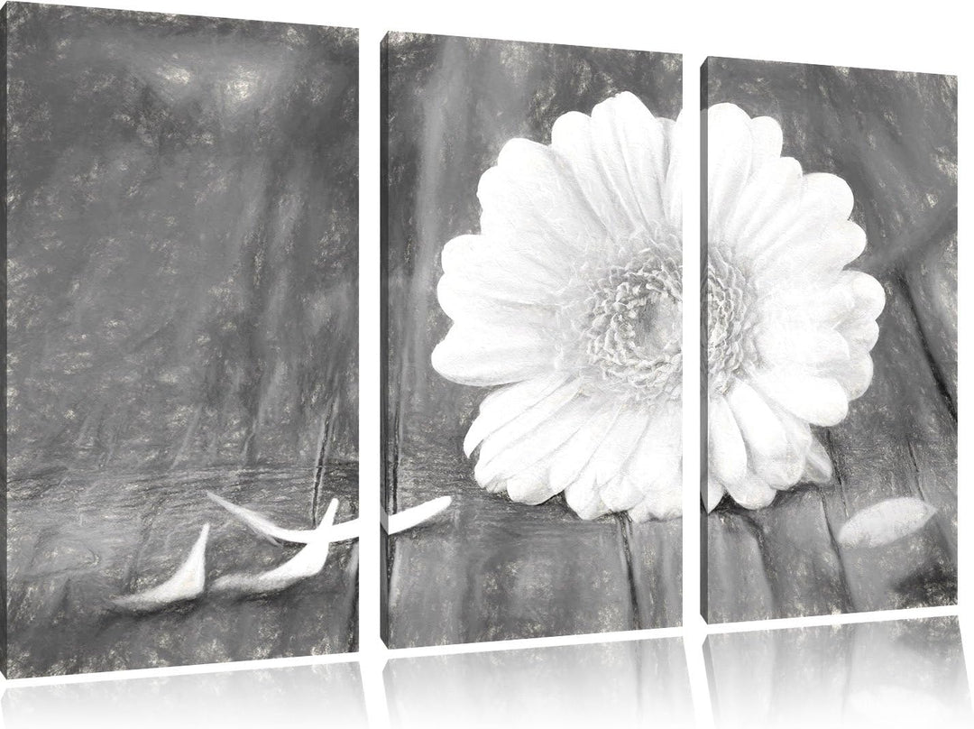 Pixxprint Gerbera auf Boden / 3-Teilig/Gesamtmass 120cm Leinwandbild bespannt auf Holzrahmen/Wandbil