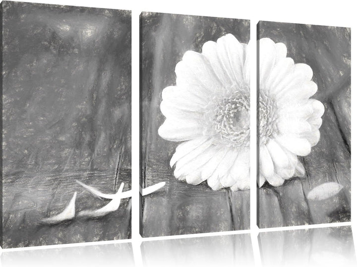 Pixxprint Gerbera auf Boden / 3-Teilig/Gesamtmass 120cm Leinwandbild bespannt auf Holzrahmen/Wandbil