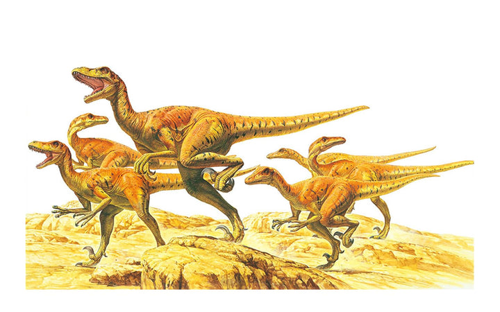 TAMIYA 60105-1:35 Velociraptors Pack of Six