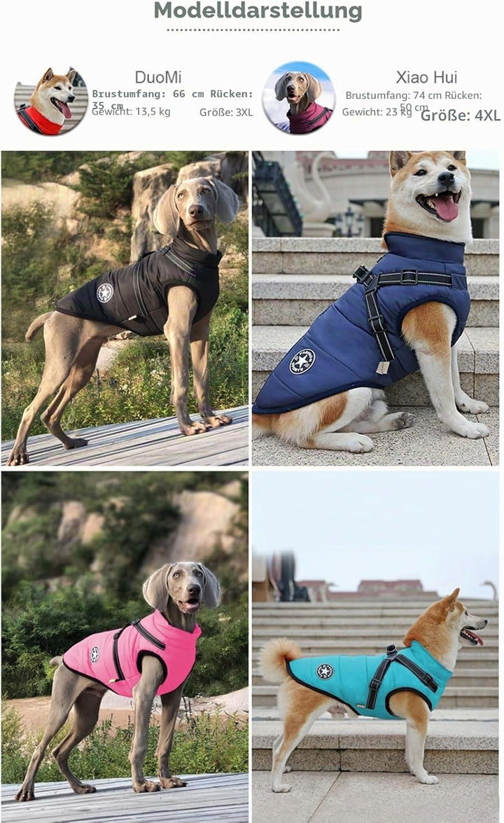 2-in-1-Hundejacke mit Geschirr für grosse Hunde, Outdoor-Hunde-Sportweste, warmer Haustier- Winterma