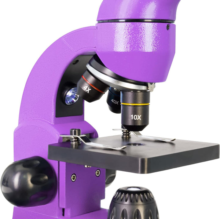 Levenhuk Rainbow 50L Plus Amethyst Wissenschafts- und Bildungsset mit Leistungsstarkem Mikroskop mit