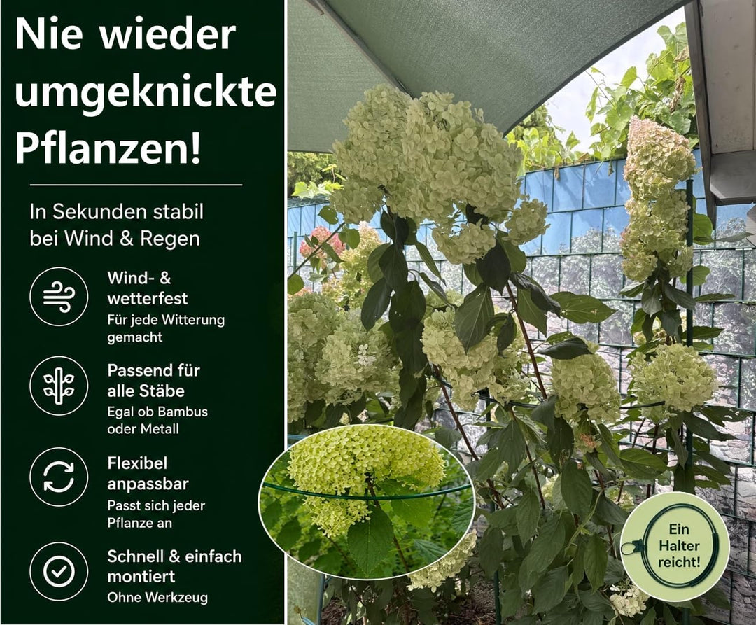 Pflanzenstütze für grosse Stauden wie Hortensien & Pfingstrosen | 20x Staudenhalter XL mit Zusatzhal