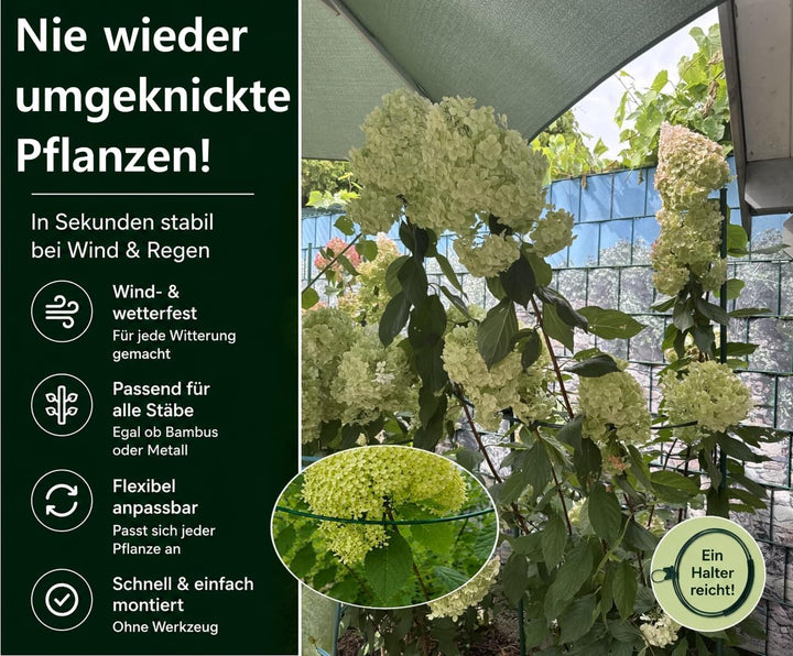 Pflanzenstütze für grosse Stauden wie Hortensien & Pfingstrosen | 3X Staudenhalter M Ø 20–45 cm – Ve