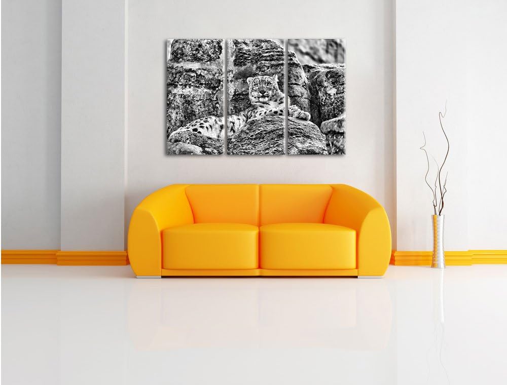 Pixxprint Schneeleopard auf Stein als Leinwandbild/Grösse: 3 Teilig (120x80) cm/Wandbild/Kunstdruck/
