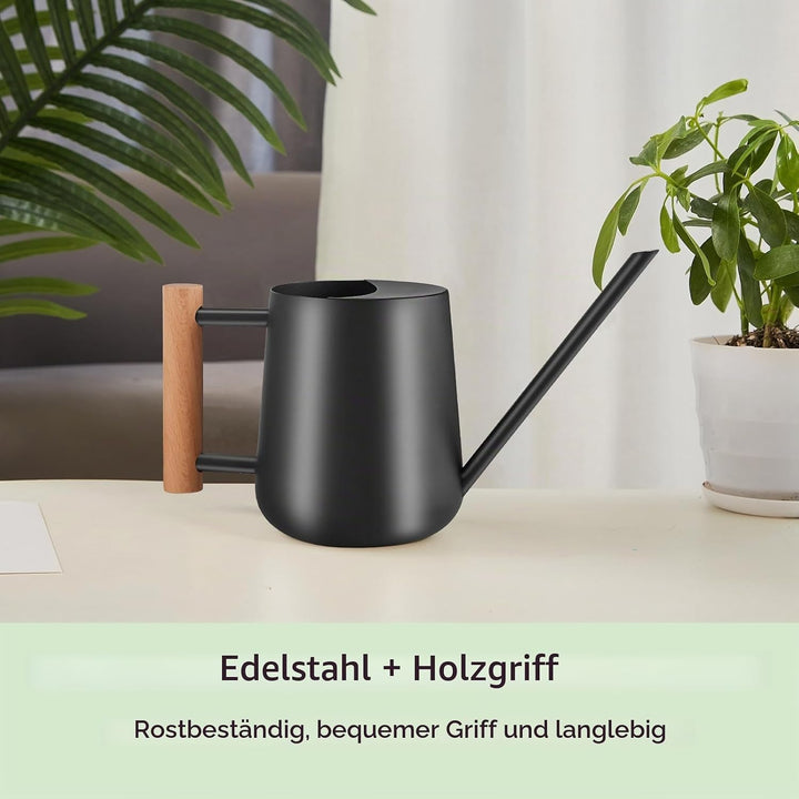 1L Giesskanne Zimmerpflanzen, (1000 ml) 35 Oz Metall Edelstahl Klein Giesskanne mit Langem Auslauf u