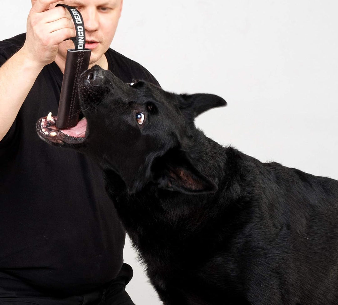 Dingo Gear S00230 Hundespielzeug Bissenzieher, Handarbeit aus braunem genarbtem Leder, Starkes Ziehe
