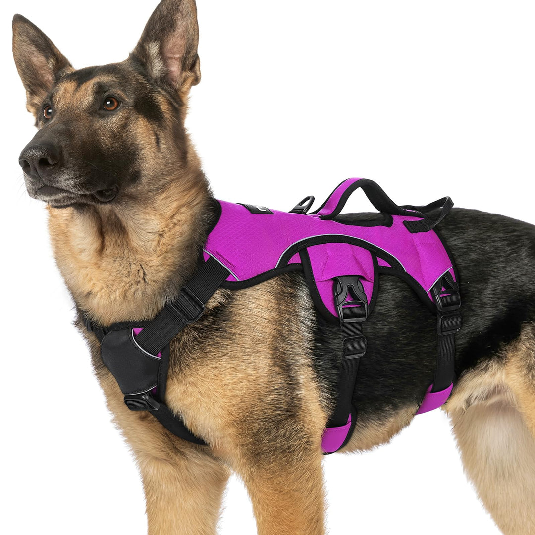 rabbitgoo Ausbruchsichere Hundegeschirr Grosse Hunde mit Griff, Anti Zug Sicherheitsgeschirr Hund At