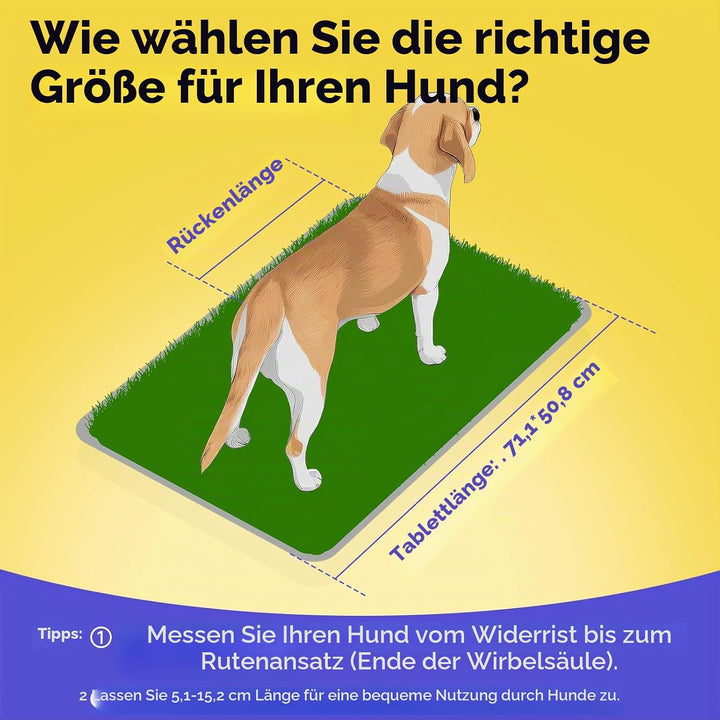 Edelstahl Hundetoilette Grasmatte mit Tablett, 70 x 50 cm Hundeklo mit 2 Wiederverwendbaren Kunstras