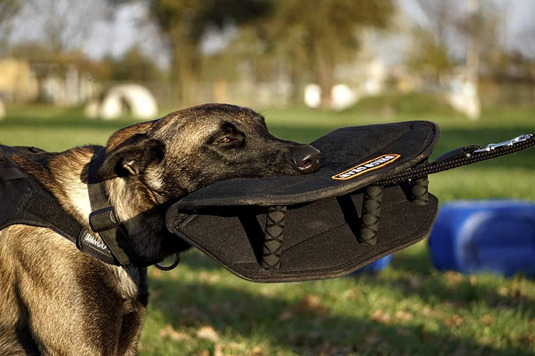 Dingo Gear Beisskissen Keilform Gizmo aus Baumwolle-Nylon Schwarz Ausbildung IGP IPO K9 Hundetrainin