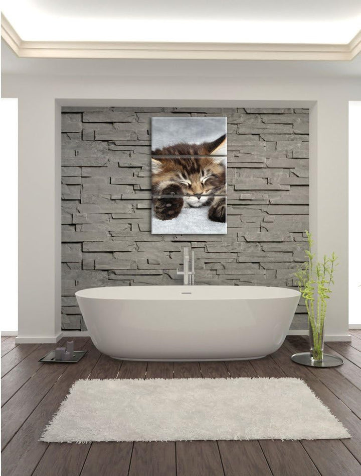 Pixxprint Süsse Baby Katze als Leinwandbild/Grösse: 3 Teilig (120x80) cm/Wandbild/Kunstdruck/fertig