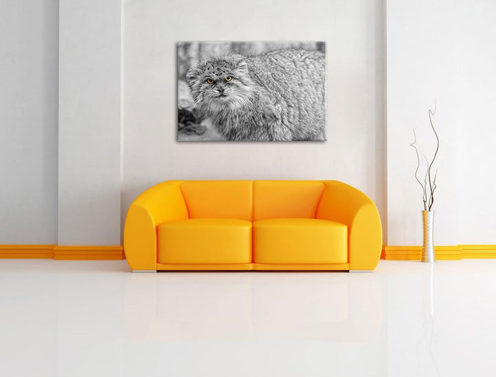 wütende kleine Manul schwarz/weiss auf Leinwand, XXL riesige Bilder fertig gerahmt mit Keilrahmen, K