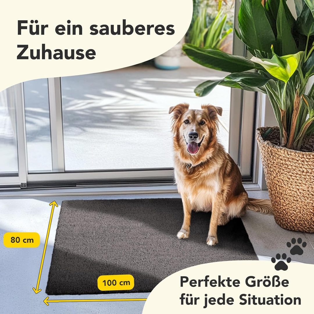 Floordirekt Fussmatte für Innen und Aussen, 80x100 cm Grau, Türmatte aus Kokos, Schmutzfangmatte für
