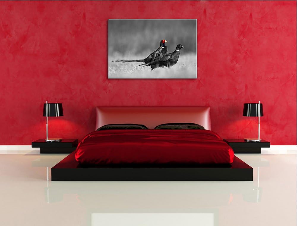zwei Fasane auf Wiese schwarz/weiss Format: 100x70 auf Leinwand, XXL riesige Bilder fertig gerahmt m